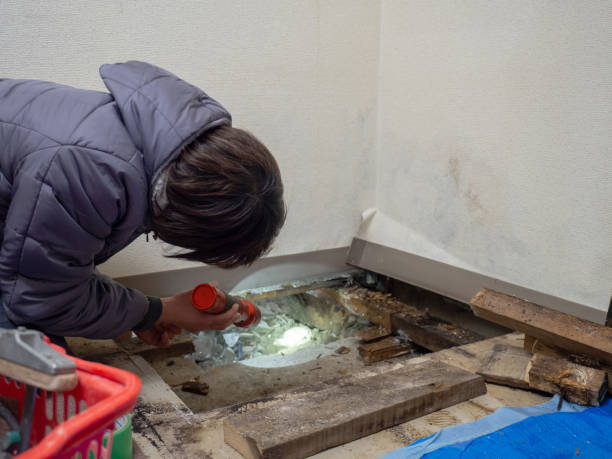 Best Comprehensive Air Testing for Mold Contaminants  in Tome, NM