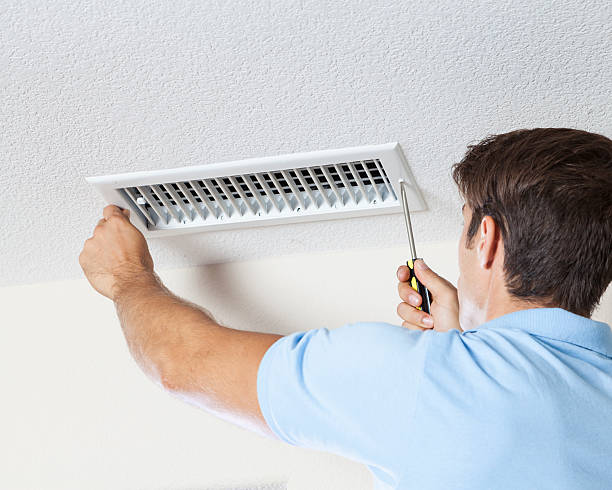 Best Mold Damage Restoration  in Tome, NM