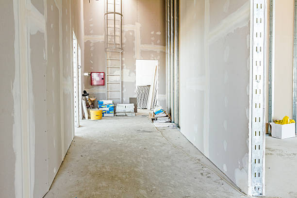 Best Real Estate Mold Inspection  in Tome, NM